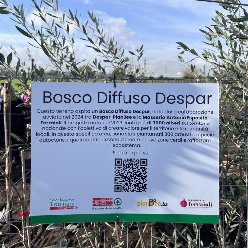 Cresce anche in Campania il “Bosco Diffuso Despar”: ad Afragola  Despar Centro Sud pianta 300 nuovi alberi presso la Masseria Ferraioli