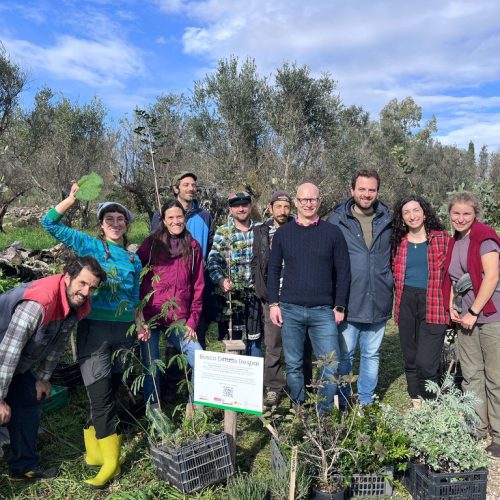 Il “Bosco Diffuso Despar” continua a crescere: ad Oria (BR) Despar Centro Sud pianta 250 nuovi alberi presso l’azienda agricola “L’Onda Fertile”