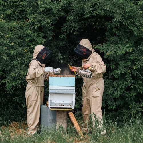 Despar rafforza anche in Puglia l’impegno per la biodiversità con nuovi rifugi per le api selvatiche a Oria
